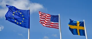”Avtalet med USA hotar Gotlands säkerhet”