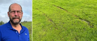 Nordlundas gräsplan vandaliserad: "Bara så onödigt"
