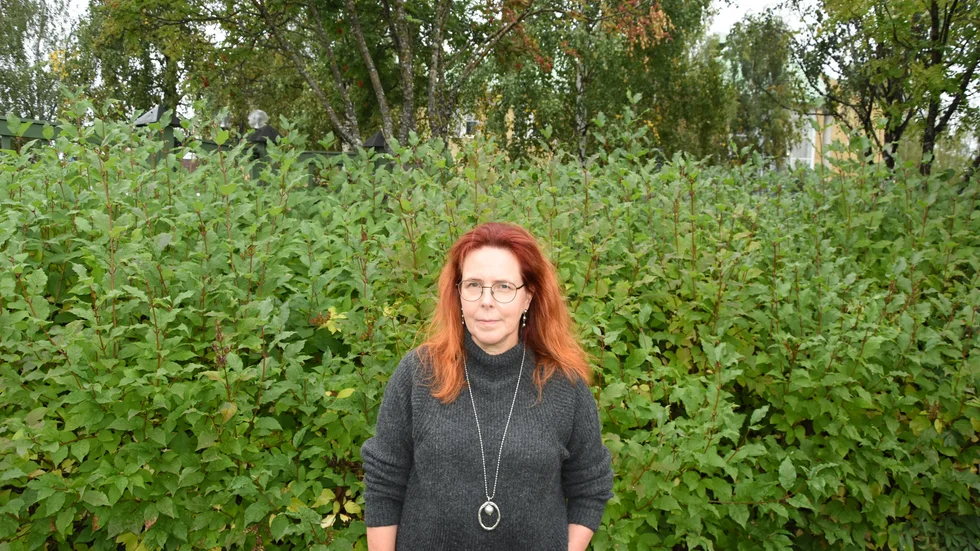 "Den kritik som har framkommit som jag har tagit del av i den presentationen som sändes digitalt är ju framförallt riktad mot kommunen, och inte mot vårat arbetssätt", säger skolkonsulten Susanne Norman. (Arkivbild).