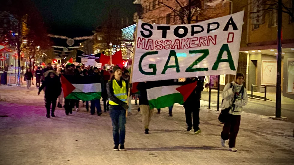 "Sluta döda Gazas barn". Omkring 100 demonstranter deltog i torsdagens demonstration i Luleå till stöd för det palestinska folket och i protest mot Israels krigföring.