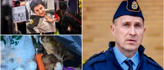 Brotten som polisveteranen aldrig glömmer 