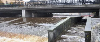Så stark är höstfloden i Fyrisån