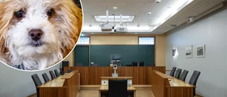 Gnestabo dömd för förtal – efter Kennelklubbens Facebook-live