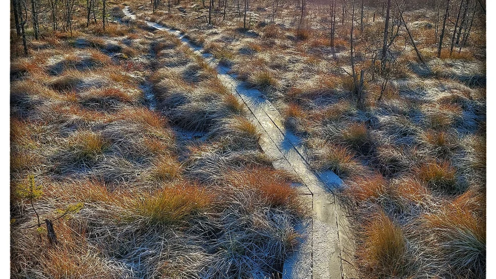 Promenad i Gammelstads naturreservat.