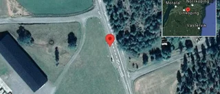 Viltolycka skapar trafikproblem