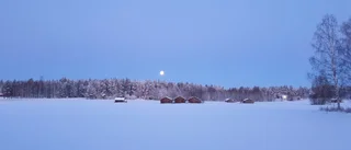 Läsarbilden: Klart och kallt  