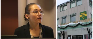 Uppskruvad retorik från SD – ledamöter skräms till tystnad