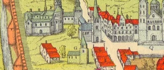 Pinsamt inkompetent av Gotlands museum