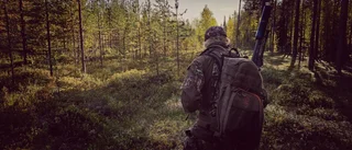 Jägare vågar inte kritisera skogsbolagen: ”Håll truten och skjut”