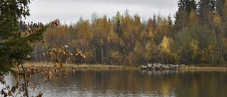 Grannen om försvunna fiskare: "Man släpper det ju inte"