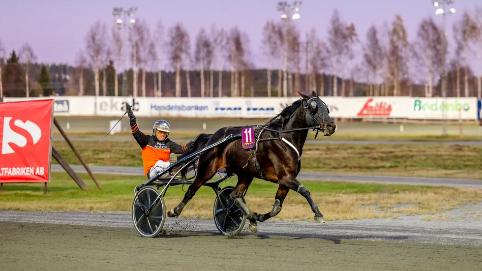 Olly Håleryd lämnade sina konkurrenter med över tio längder i V75-4. En grym prestation.