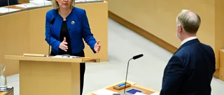 Liberalerna är regeringens variga sår