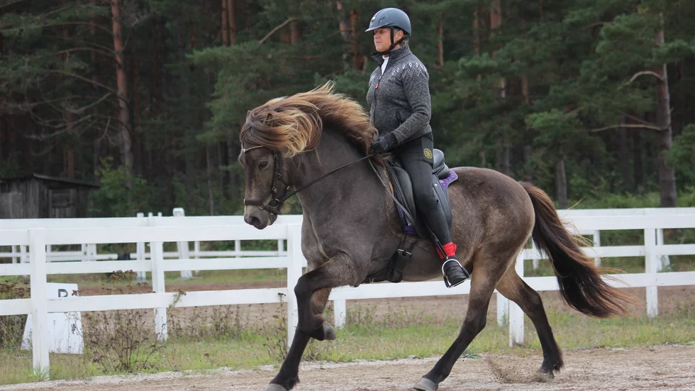 Klubbmästare Allround 2022: Marguerite Strandsten & Prins från Storsudret.