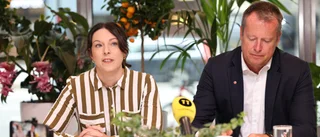 Arbetsmarknadens parter vet inte alltid bäst