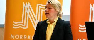 Det är Pride Norrköping som styr sin egen verksamhet