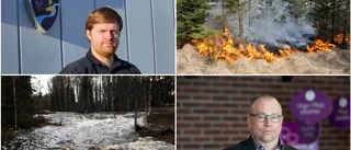 Kommunen ser över sökbara projekt