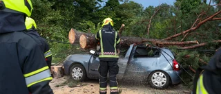 Flera döda i våldsam storm på Balkan