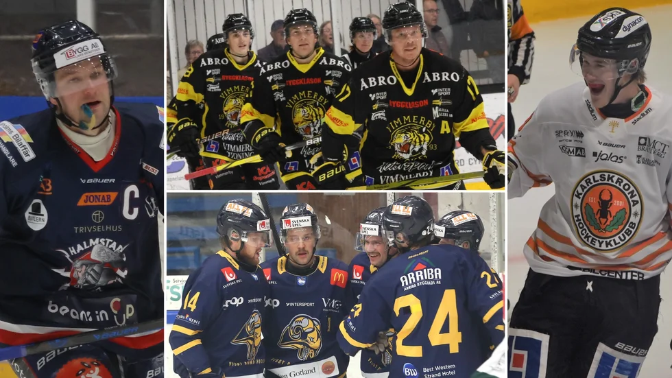 Vimmerby, Visby, Halmstad och Karlskrona har de snyggaste dressarna i Allettan Södra.
