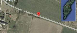 Fallna träd skapar problem i trafiken på väg 624