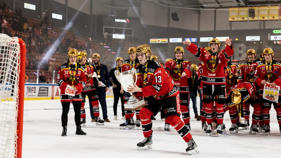 Luleå Hockey hyllas av den kanadensiske experten Ian Kennedy. The Hockeys News-reportern anser att Luleå hade gjort bra ifrån sig i det som blir världens bästa liga i Nordamerika.