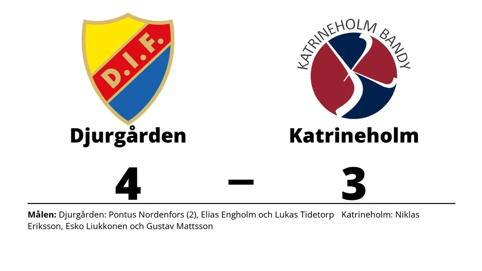 Djurgårdens IF vann mot Katrineholm Bandy
