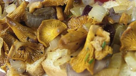 Mindre fett - mer smak. Rostat bröd med kantareller, fyra sorters peppar och tre sorters lök. Mycket smak utan onödigt fett.