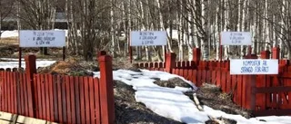 Lyckad satsning på gemensam kvarterskompost