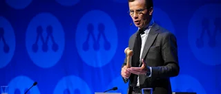 Moderaterna bör fortsätta göra sin grej