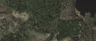 Ägarbyte för skogen på Ersbola Fiskefällan 1 i Ödeshög