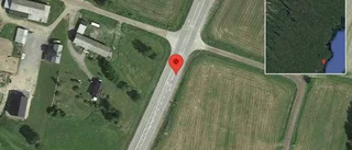 Rådjur på fel sida viltstängslet på E4