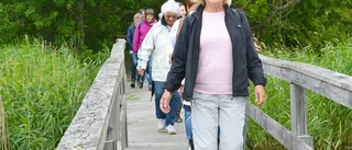 Populär pilgrimsvandring