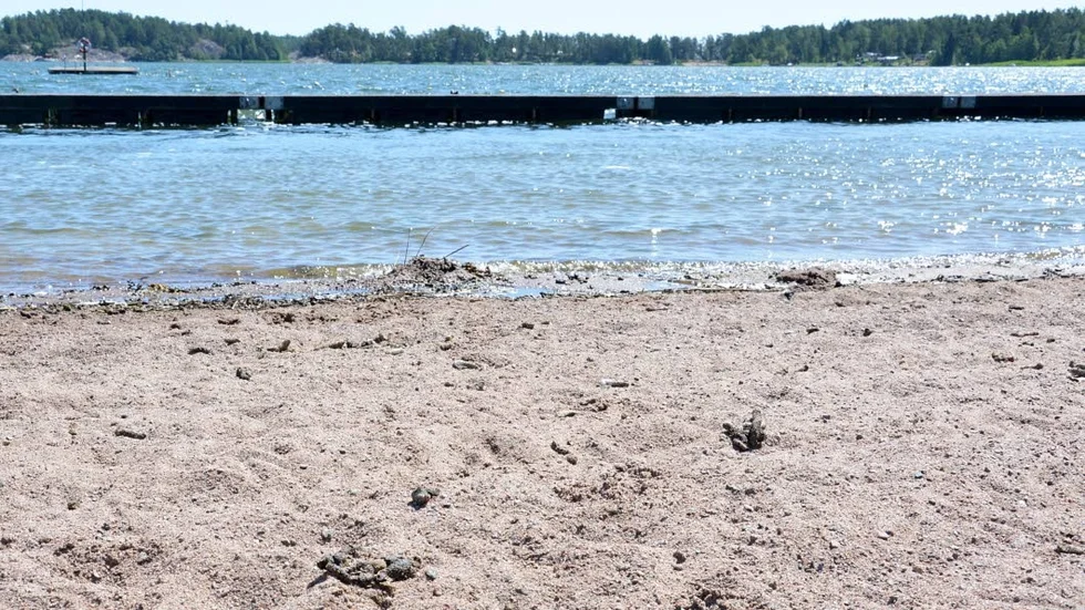 På sandstranden ligger fågelbajs i olika stadier av nedbrytning.
