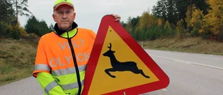 Inget stängsel – trots alla viltolyckor