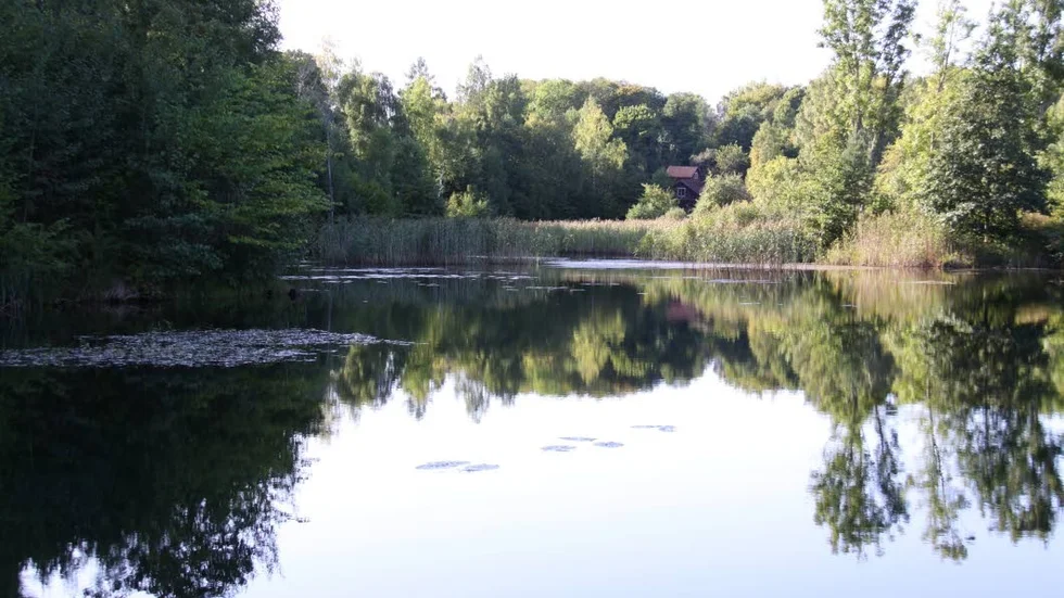 Damm. Så här såg Spikbruksdammen ut år 2009, innan grävningen utfördes.