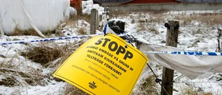 Misstänkt mjältbrand i Vimmerby
