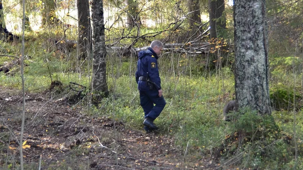 Tack vare att mannen såg vindkraftverk kunde hundparullen begränsa sökområdet.