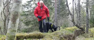 Tomas jagades av vildsvin i Tinnerö
