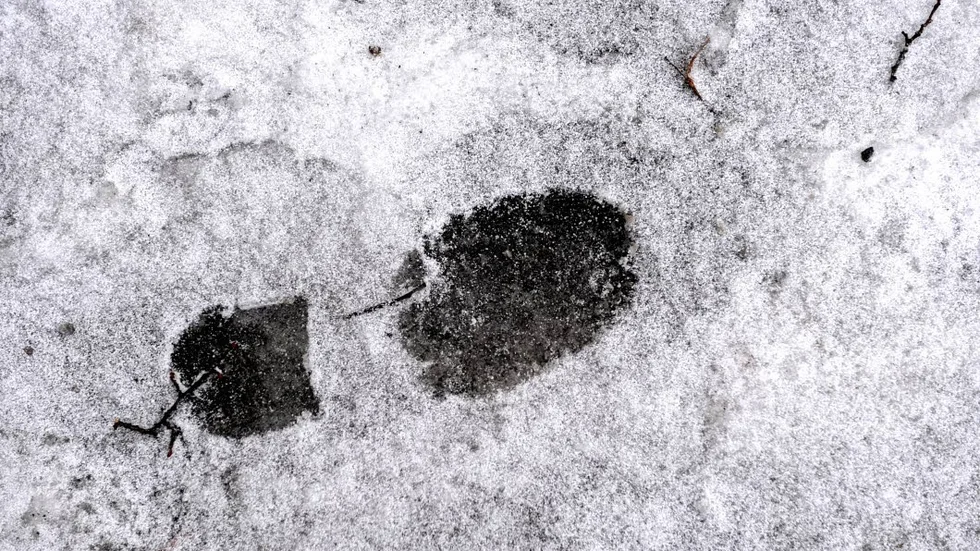 De två männen hade hunnit lämna området när polisen kom fram, men i snön fanns tydliga spår.