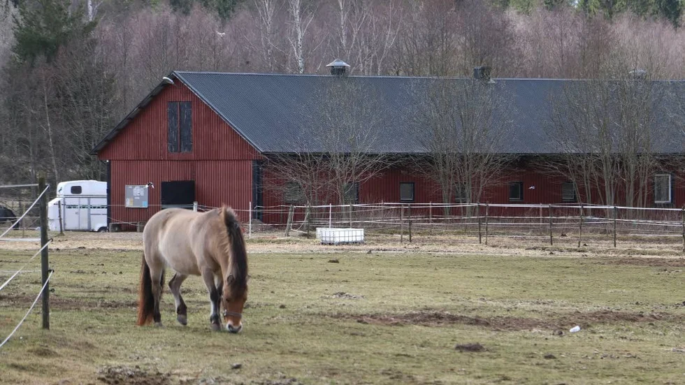 Ridklubbens stall vid Kristineberg ska totalrenoveras. Kommunen har avsatt fyra miljoner kronor för ändamålet.
