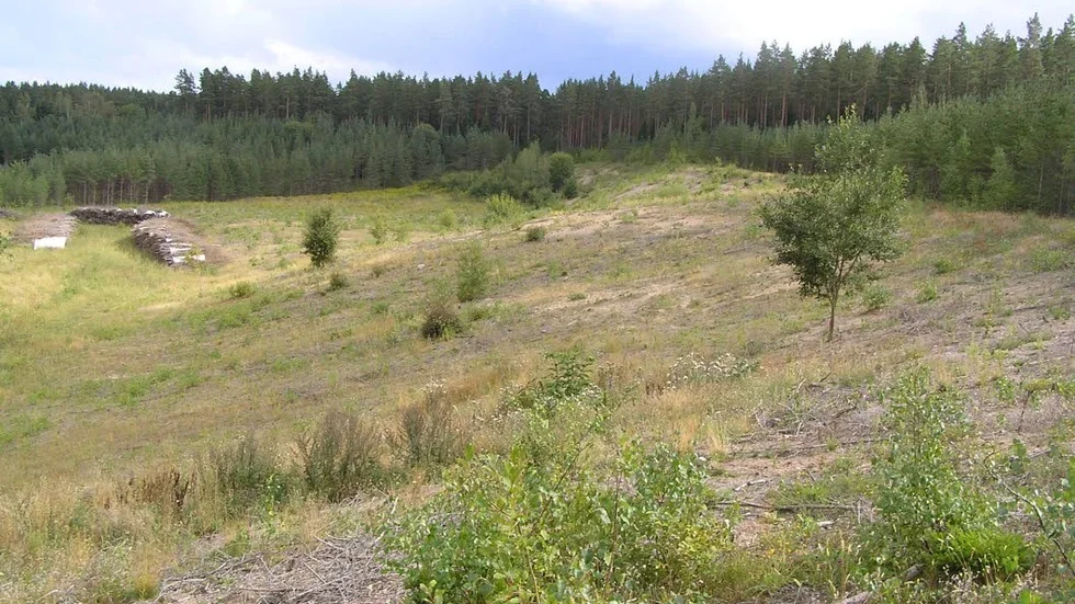Naturvärden. Högbymon norr om Mjölby är särskilt känt för insekter som gillar öppen sandmark.
