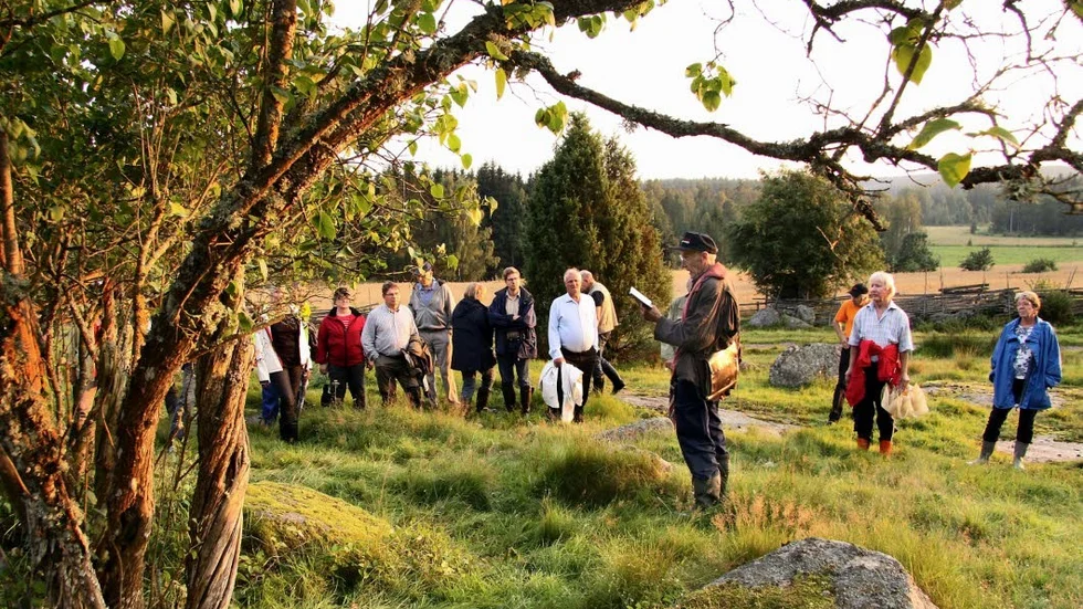 Strövtåg. Några av sommarens guidade turer går till platser med unik flora.