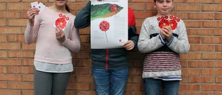 Stort intresse för att sälja majblommor