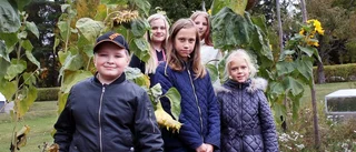 Närodlat ger kunskaper