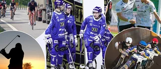 IFK har imponerat stort på mig