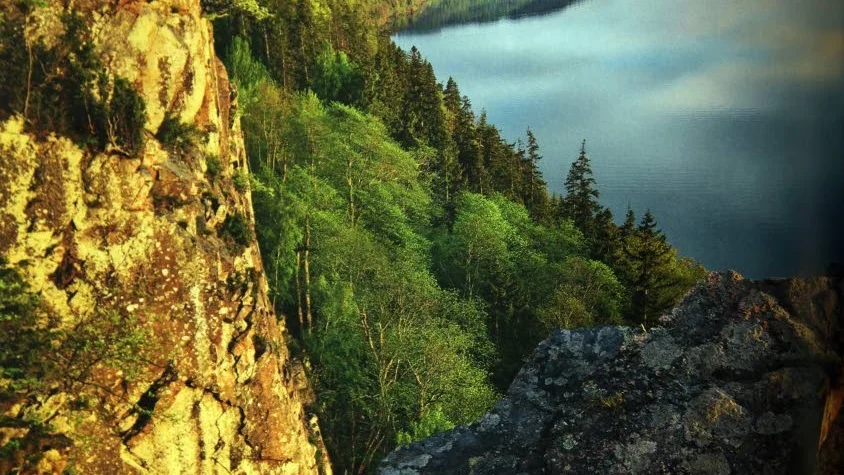 Omberslidens naturreservat utökas för att skydda bland annat ovanliga och känsliga arter av orkidée.