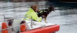 Spår under vattenytan
