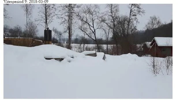 Finns skräphögen kvar? Det är inte bevisat tycker domstolen och vill inte döma ut vite för vintermånaderna.