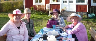 Traditionen med fölträff tillbaka
