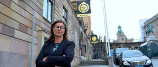 ”Jag har ett fantastiskt uppdrag”