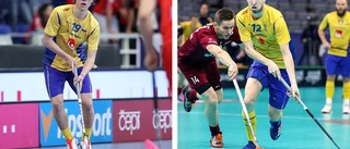 Två Libk-spelare med i landslaget